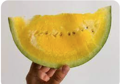 Ensalada con huevo duro, jamón de york y 1 tajada de sandia amarilla.